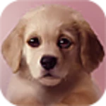 puppy lite android application logo